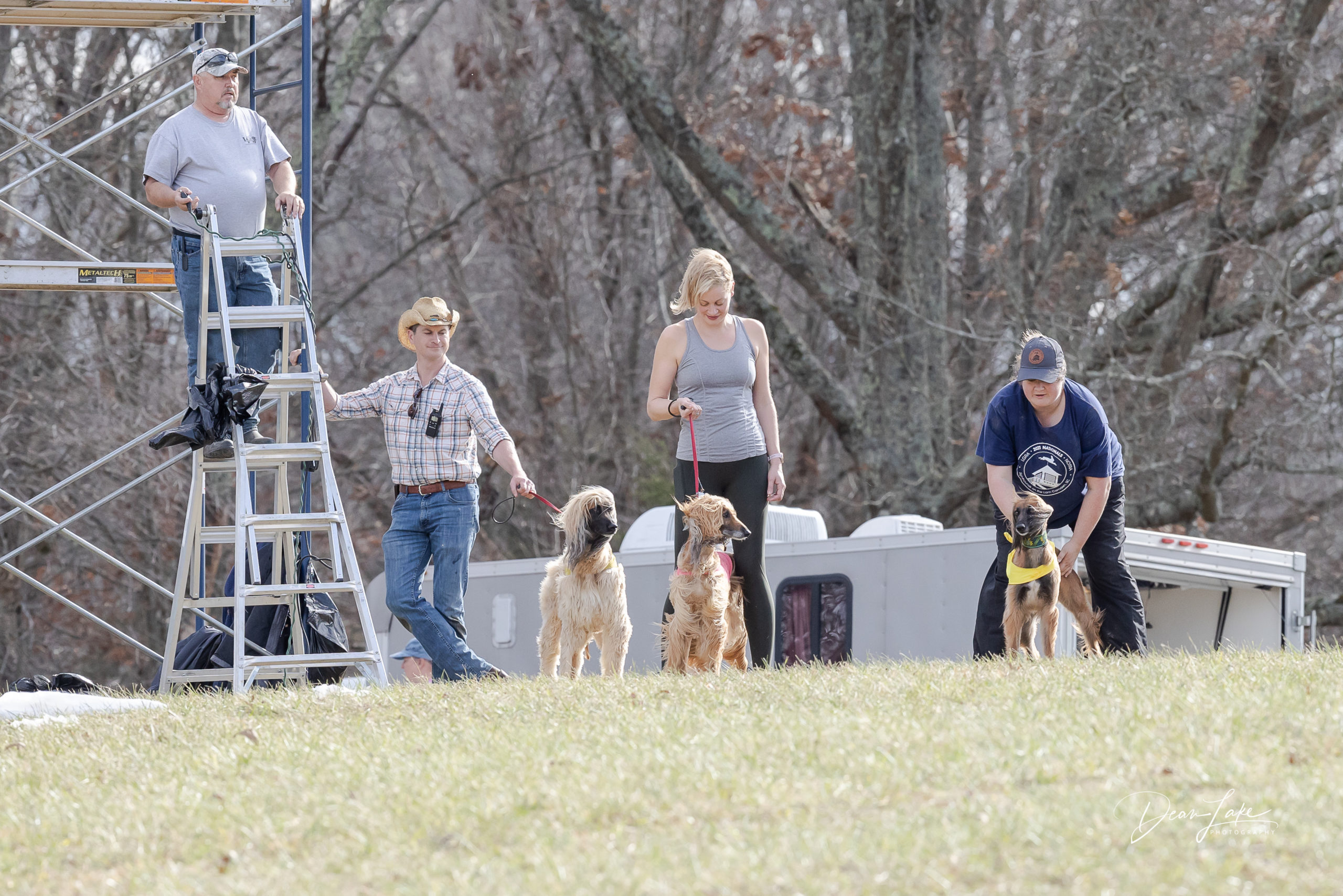 Lure Coursing Trials